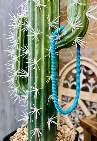 Turquoise Beaded Necklace on Cactus