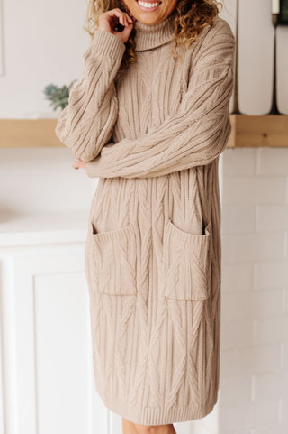 Polagram Bundled Beauty Turtleneck Sweater Dress