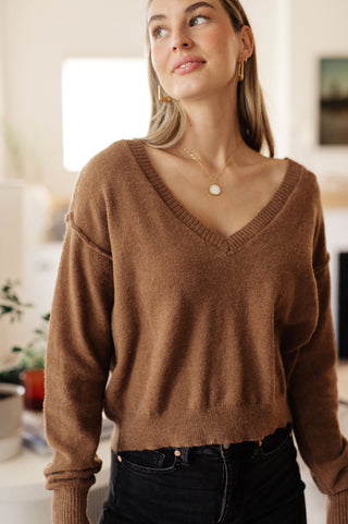 GeeGee Back to Life V-Neck Sweater in Mocha