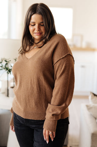 GeeGee Back to Life V-Neck Sweater in Mocha