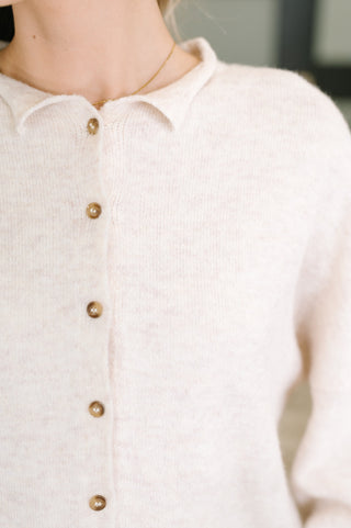 Zenana Careful Consideration Collared Button Down in Heathered Beige